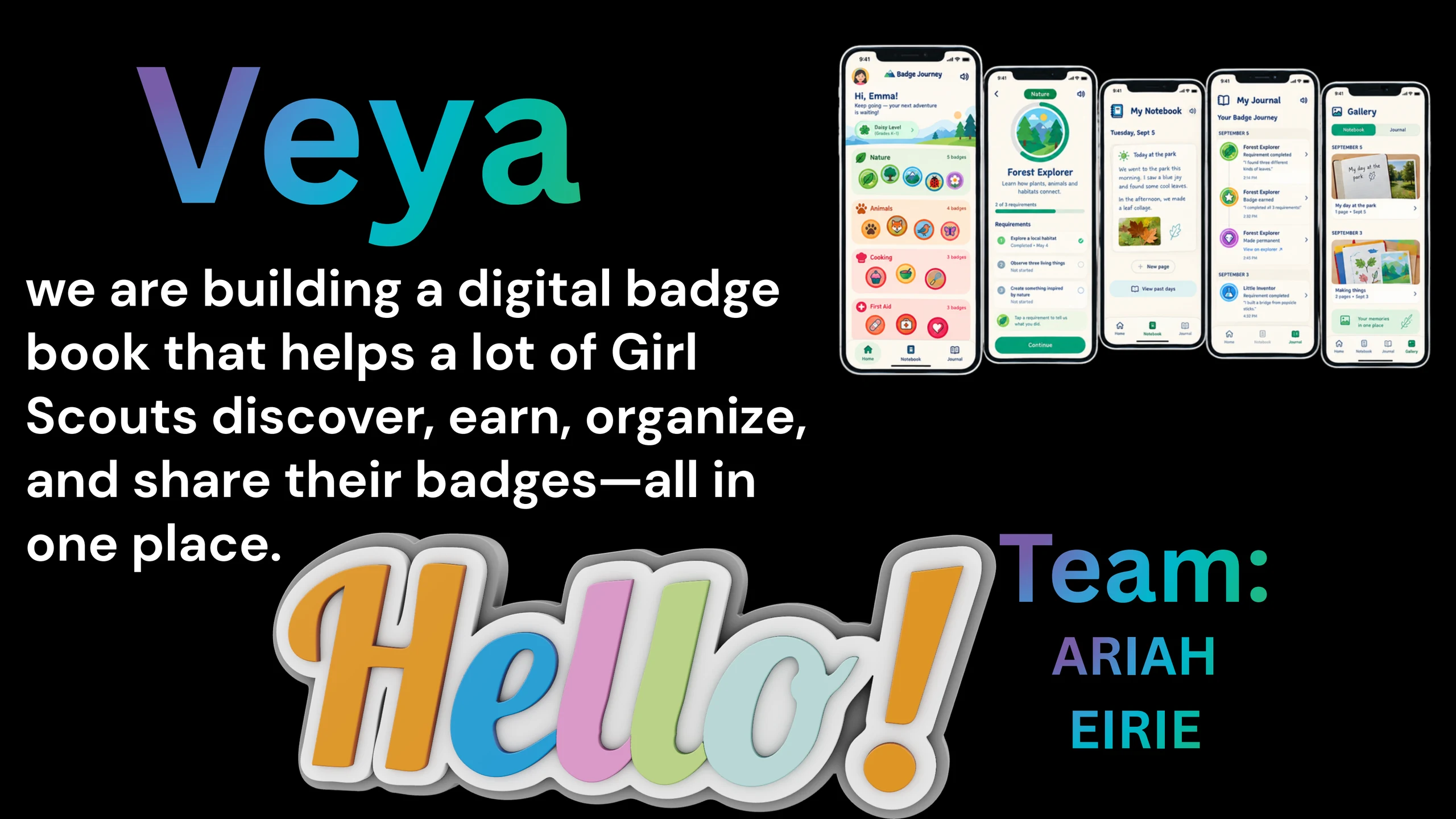 Veya pitch deck slide 1 of 10